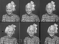 Filnamn=falk - 11560.jpg
Filstorlek=33KiB
Dimensioner=449x334
Uppladdade datum=Apr 16, 2007 falk - 11560.jpg
