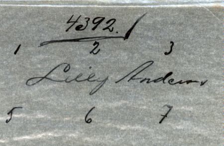 Lilly Anderson
Lilly Anderson
Nyckelord: Anderson