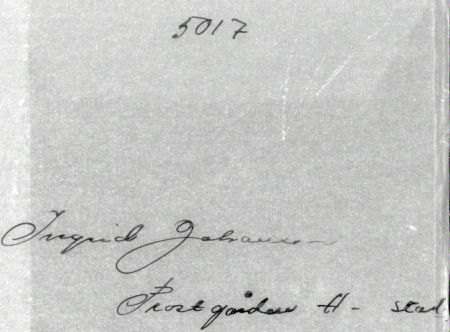 Ingrid Johansson Prostgården H-stad
Ingrid Johansson Prostgården H-stad
