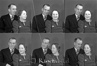 Filnamn=Falk - 5296.jpg
Filstorlek=29KiB
Dimensioner=450x306
Uppladdade datum=Apr 16, 2007 Falk - 5296.jpg
