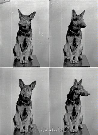Schäferhund
raja
Schäferhund
Djur
Nyckelord: Schäferhund