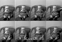 Filnamn=Falk - 5688.jpg
Filstorlek=35KiB
Dimensioner=450x306
Uppladdade datum=Apr 16, 2007 Falk - 5688.jpg