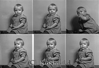 Filnamn=Falk - 8233.jpg
Filstorlek=26KiB
Dimensioner=450x309
Uppladdade datum=Apr 16, 2007 Falk - 8233.jpg