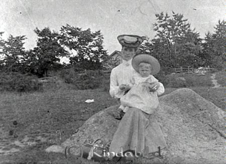 Falk - 0003 - ej nr - ej lapp.jpg
