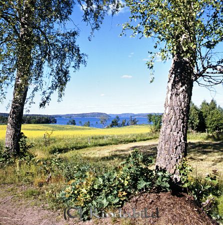 Kindavyer
raja
Kan vara en vy över Åsunden från trakterna kring Killingvid och bakgrunden Utdalaviken
Nyckelord: Åsunden Kisa