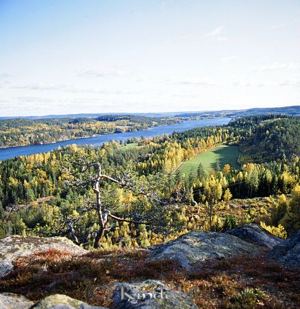 Kindavyer
raja
Kan vara en bild över sjön Ämmern tagen från Ryttareberget med Koön i bakgrunden
Nyckelord: Ämmern Rimforsa