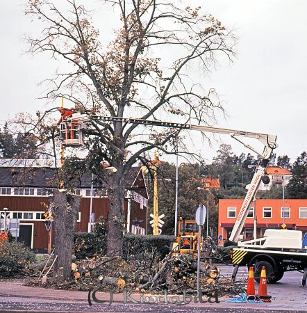 Kindavyer
raja
Trädavverkning i centrala Kisa
