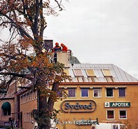 Petters. - 0151.jpg
