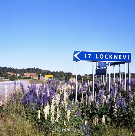 Kindavyer
raja
Vägskyltar

raja
Hult/Österby 
Källa: joskar 56806

Nyckelord: Hult/Österby Hycklinge