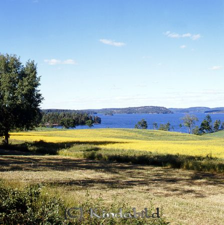 Kindavyer
raja
Bilden kan vara tagen från vägen mellan Killingevid och Runefall utöver Åsunden  

Nyckelord: Åsunden Kisa