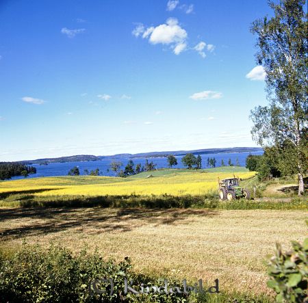 Kindavyer
raja
Bilden kan vara tagen från vägen mellan Killingevid och Runefall utöver Åsunden 

Nyckelord: Åsunden Kisa