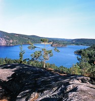 Filnamn=Petters. - 0345.jpg
Filstorlek=52KiB
Dimensioner=419x450
Uppladdade datum=Apr 16, 2007 Petters. - 0345.jpg
