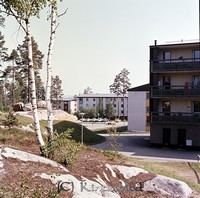 Petters. - 0366.jpg