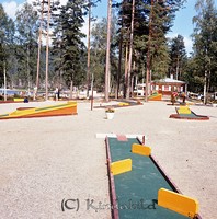 Petters. - 0478.jpg