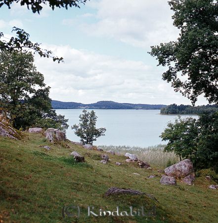 Kindavyer
raja
Bild tagen från en beteshage ned mot en sjö
Nyckelord: Sjö Kisa