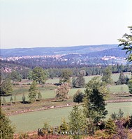 Petters. - 0565.jpg