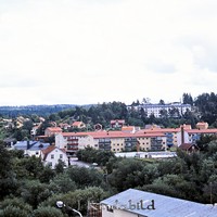 Petters. - 0567.jpg