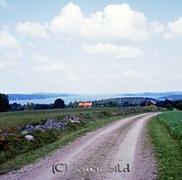 Petters. - 0615.jpg