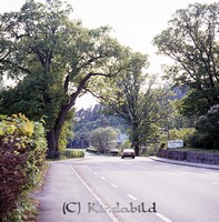 Petters. - 0651.jpg