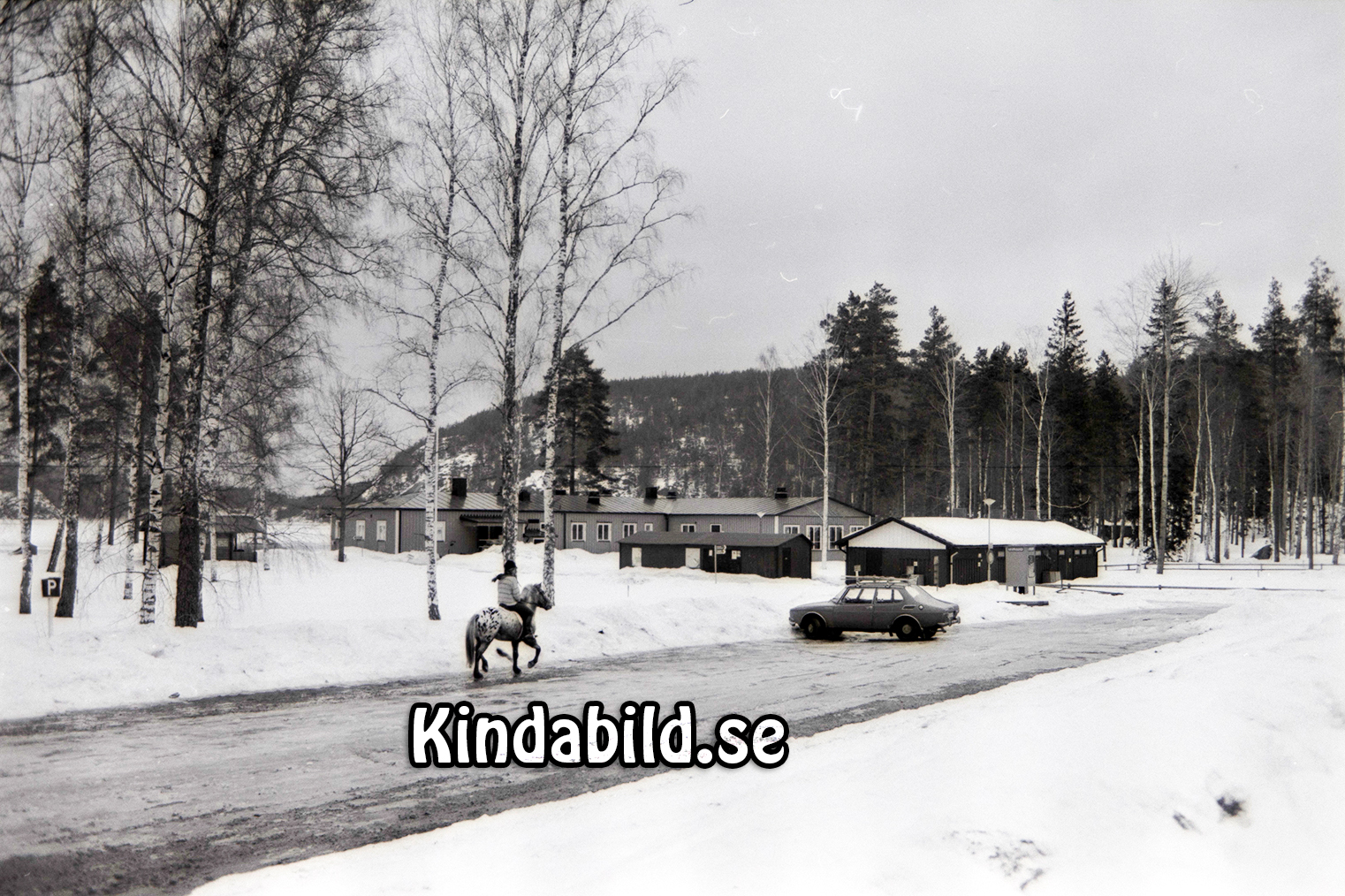 Stiftelsen Fritid Kisa
raja
Vinterbilder från Pinnarp Kisa  

