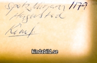 Filnamn=1179002.jpg
Filstorlek=1211KiB
Dimensioner=1543x1014
Uppladdade datum=Sep 06, 2017 1179002.jpg