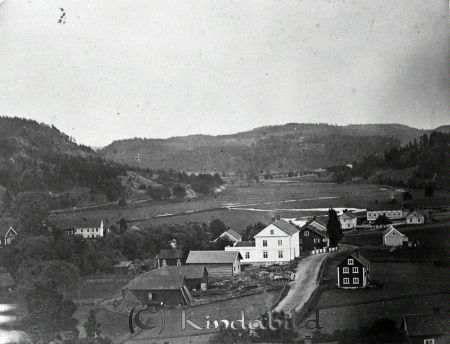 Kisa från norr
