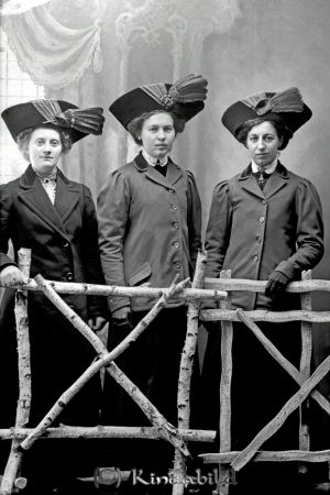 Elsa Birgersson Sundsnäs
godj
Elsa Birgersson Sundsnäs
Grupporträtt med tre kvinnor

raja
Från vänster Elsa Birgersson, Elsa Nysten och Anna Nysten.
Fotot är taget innan Anna Nysten for till Amerika med Titanic 1912.
Källa: Studiegruppen hembygdsgården. 
Nyckelord: Birgersson Sundsnäs