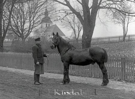 A Svensson Adlerskog
