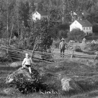 Filnamn=Stahre - 5894bz - HD - ej lapp.jpg
Filstorlek=58KiB
Dimensioner=449x446
Uppladdade datum=Jan 19, 2007 Stahre - 5894bz - HD - ej lapp.jpg