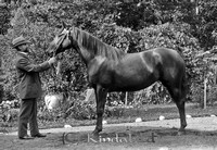 Stahre - 6652.jpg