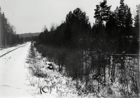 Skogsväg med snö
godj
Skogsväg med snö
Nyckelord: Skogsväg med snö