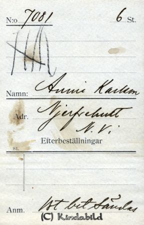 Anni Karlsson Njerfvehult N Vi
Anni Karlsson Njerfvehult N Vi
Nyckelord: Karlsson Njerfvehult