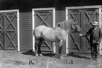 Stahre - 7493 - ej lapp.jpg
