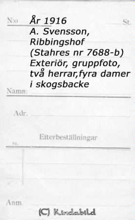 A Svensson Ribbingshof
A Svensson Ribbingshof
Nyckelord: Svensson Ribbingshof