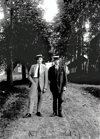 A Svensson Ribbingshof
Nyckelord: Svensson Ribbingshof