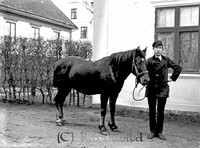 Stahre - 7799 - kve - as - 81.jpg
