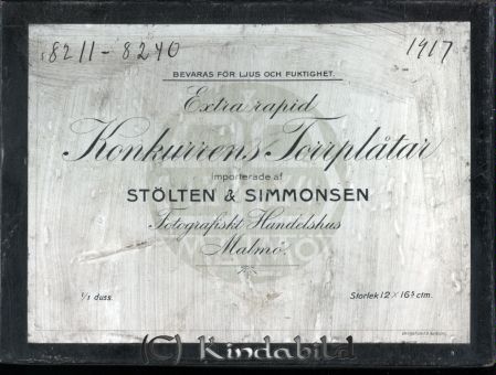 Stahre - Box-8211 - 8240 - Year 1917.jpg