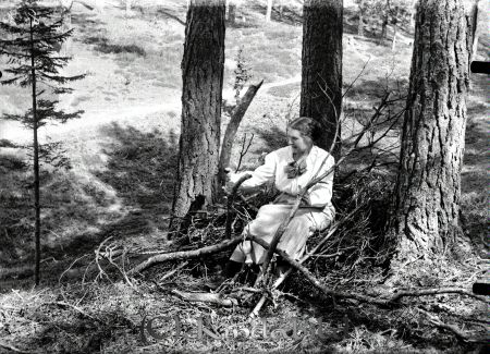 Kvinna i skog
godj
Kvinna i skog
Nyckelord: Kvinna i skog