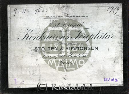 Stahre - Box-9531 - 9560 - Year 1919.jpg