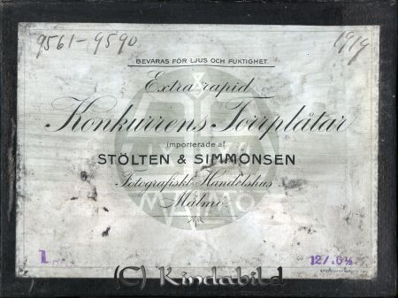 Stahre - Box-9561 - 9590 - Year 1919.jpg