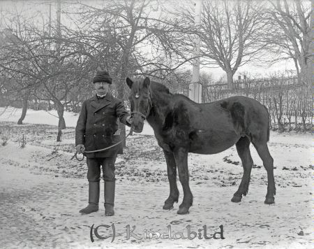 Man med häst  Viktor Johansson Berga Slätmon
godj
Viktor Johansson  Berga  Slätmon
Man med häst
se bild 8964  år 1919
Bilden tagen vid Starebo med Kisa kyrka i bakgrunden

Nyckelord: Johansson Berga