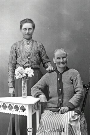 Karolina Videll  Storg 21  Valdemarsvik
godj
Karolina Videll  Storg 21  Valdemarsvik
Grupporträtt med två kvinnor

raja
Regina Karolina Videll född Rosengren 1876 i Kisa. 
Källa: Gerd Pettersson 

Nyckelord: Karolina Videll
