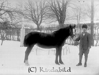 Stahre - # - ej nr - ej lapp.jpg
