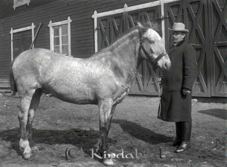 Olsson  Hag
godj
Olsson  Hag  
Grupporträtt med en man och en häst
Djur

raja
Gustaf Albin Olsson född 1871 i Djursdala gift med Anna Sofia Jakobsson
Källa: Folkräkning 1910 
Källa: Gerd Pettersson 

raja
Sonen Harald Olsson gift med Ebba, har fyra barn. En son och tre döttrar. Gunnel, Marianne, Kerstin och Rolf. 
 Källa: Studiegruppen Hembygdsgården 
Nyckelord: Olsson Hag