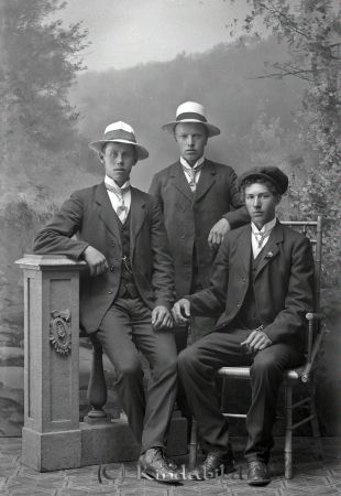 Edvin Andersson Vidingstorp
godj
Edvin Andersson Vidingstorp
Grupporträtt med tre män

raja
Till höger Edvin Rikard Andersson född 1894 i Tidersrum. 
Källa: Gerd Pettersson 

Nyckelord: Andersson Vidingstorp