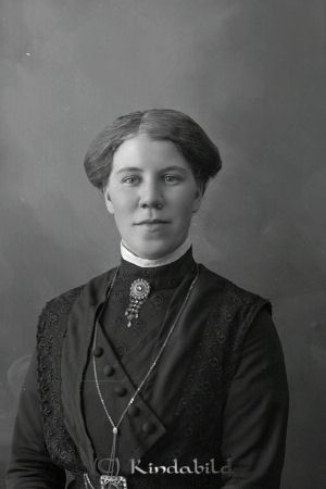 Hulda Pettersson Skjulefall Horn
godj
Hulda Pettersson Skjulefall Horn
Nyckelord: Pettersson Skjulefall