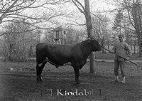 Stahre - 6942 - ej nr - ej lapp.jpg