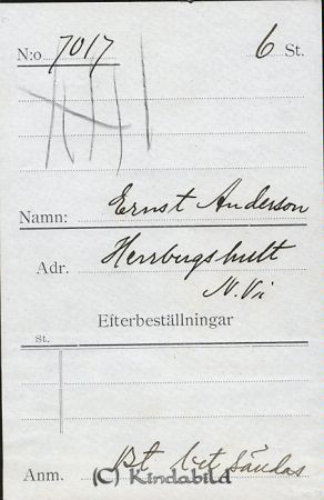 Ernst Andersson Herrbergshult N Vi
