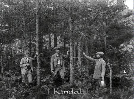 André Andersson Kisa
godj
André Andersson Kisa
Grupporträtt med tre män i skogen   Landskap
Nyckelord: André Andersson