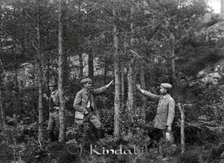 André Andersson Kisa
godj
André Andersson Kisa
Grupporträtt med tre män i skogen   Landskap
Nyckelord: André Andersson